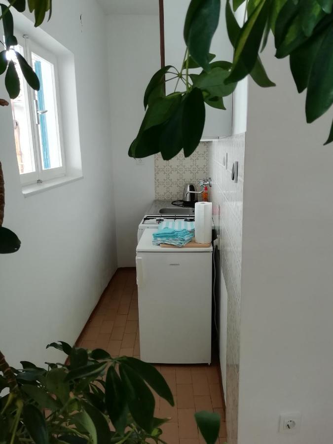 Apartman Zana 沃迪切 外观 照片